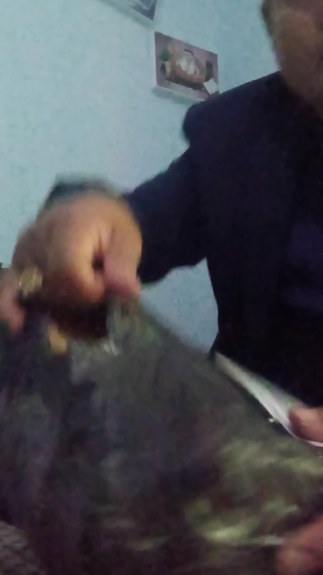 review image 7