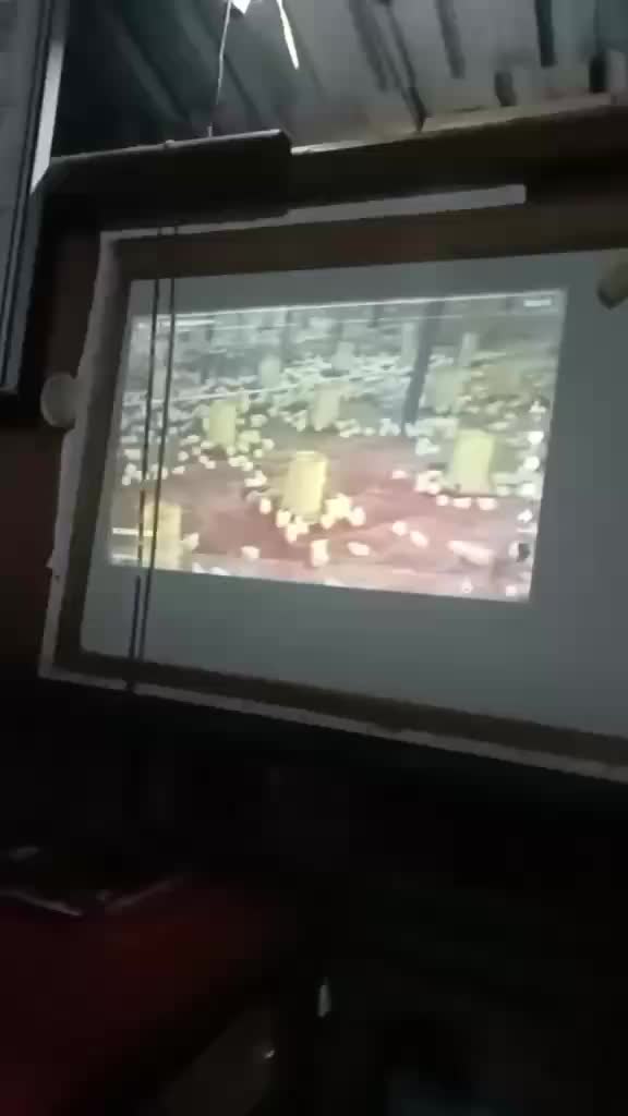 review image 7