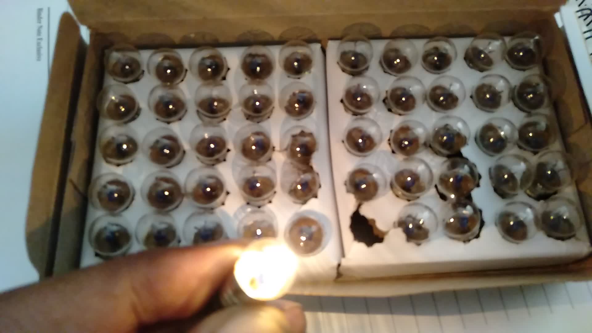 review image 5