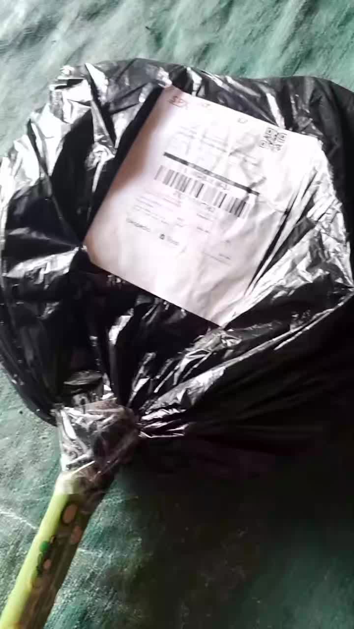 review image 5