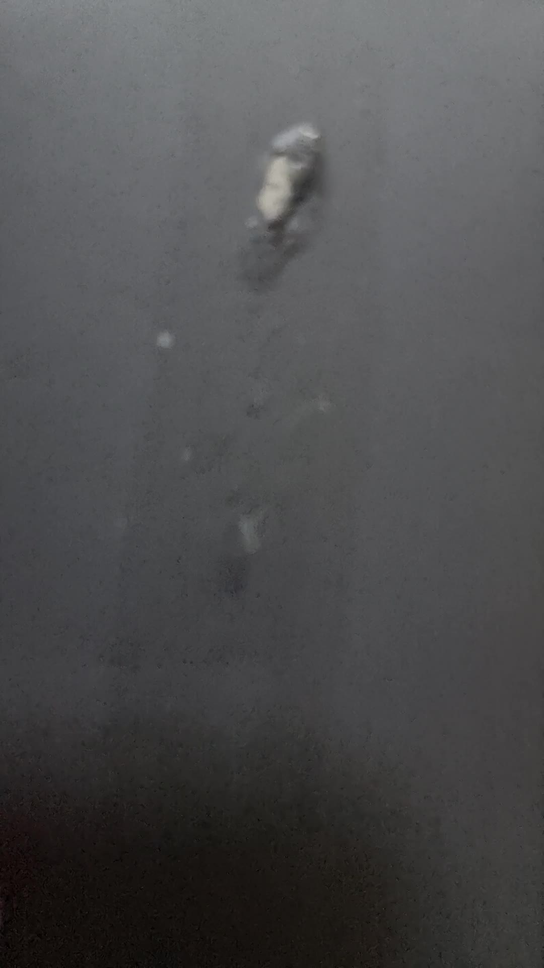 review image 6