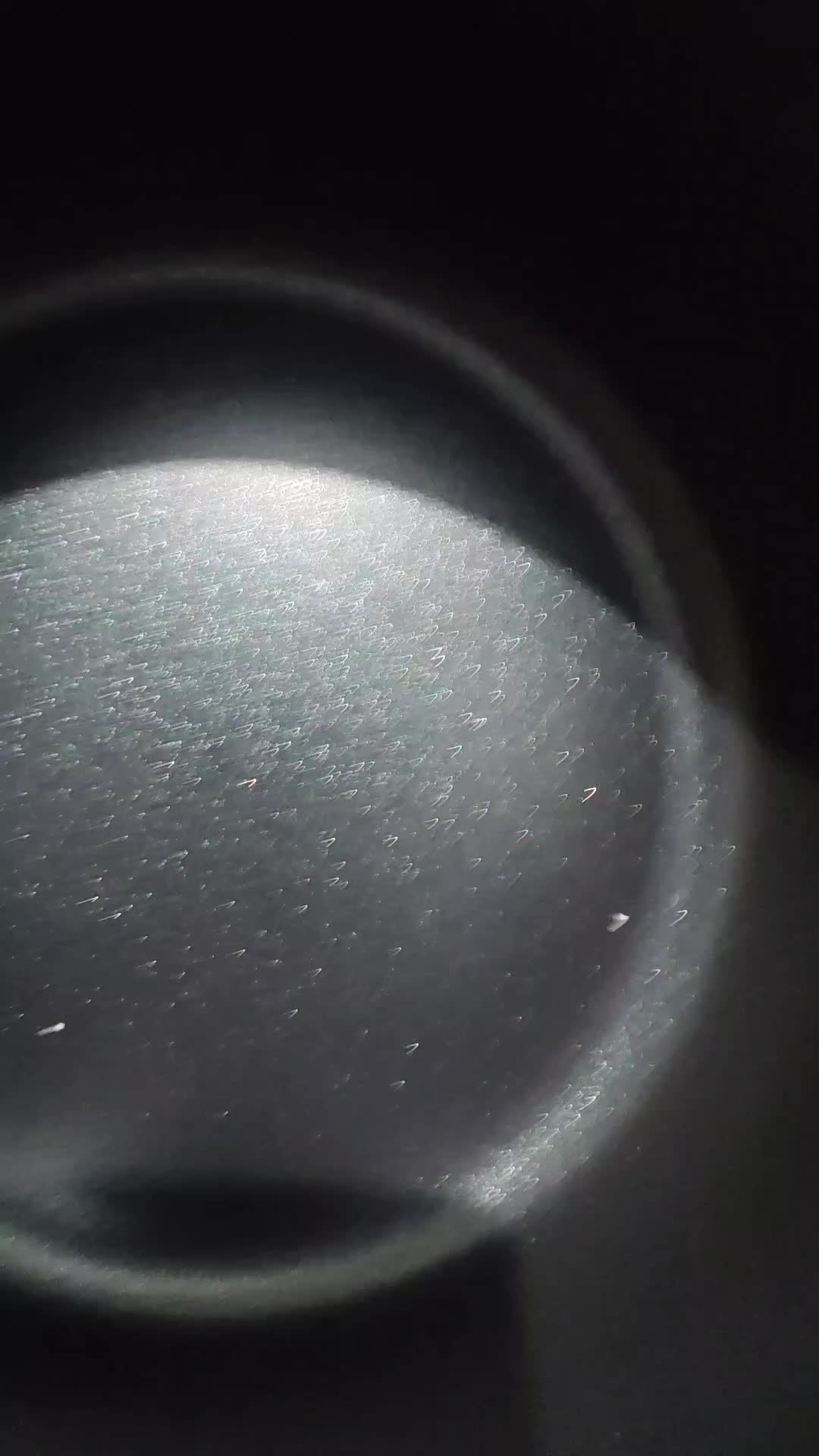 review image 2