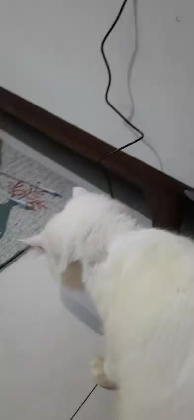 review image 5