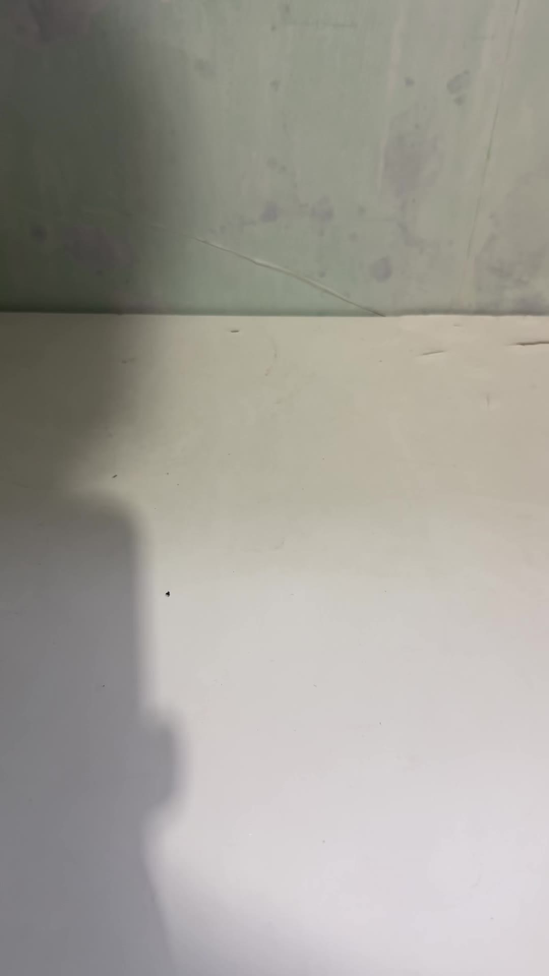 review image 5