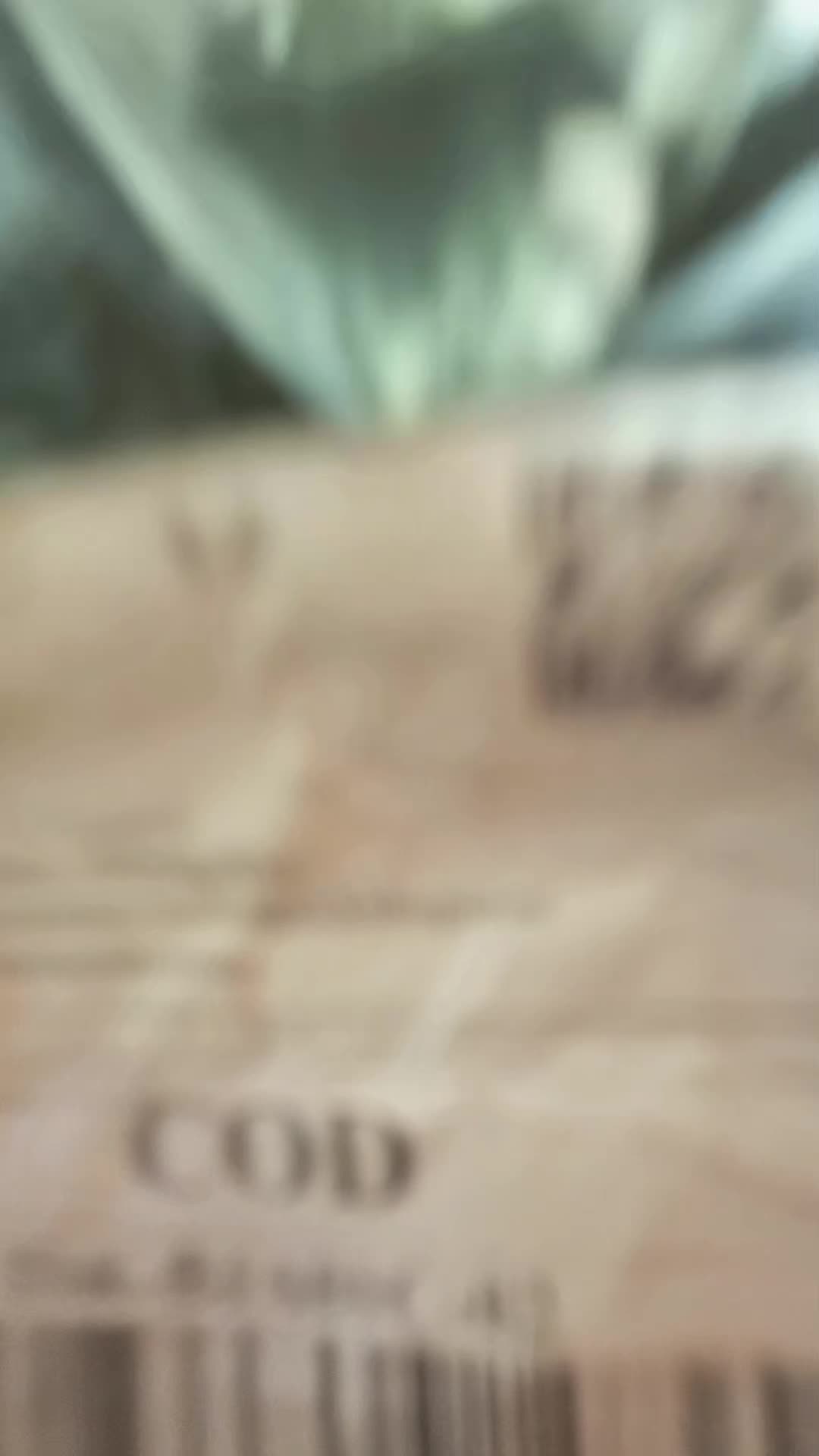 review image 8