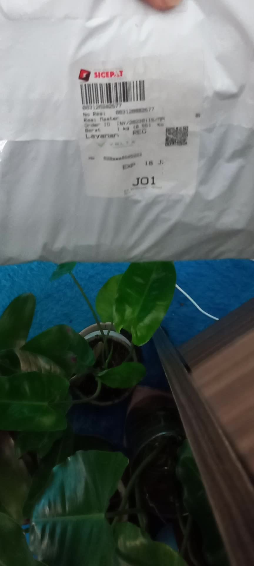 review image 13