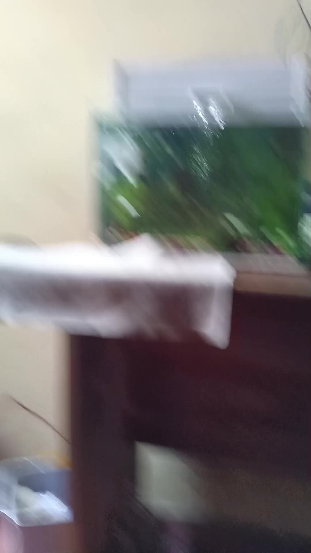 review image 6