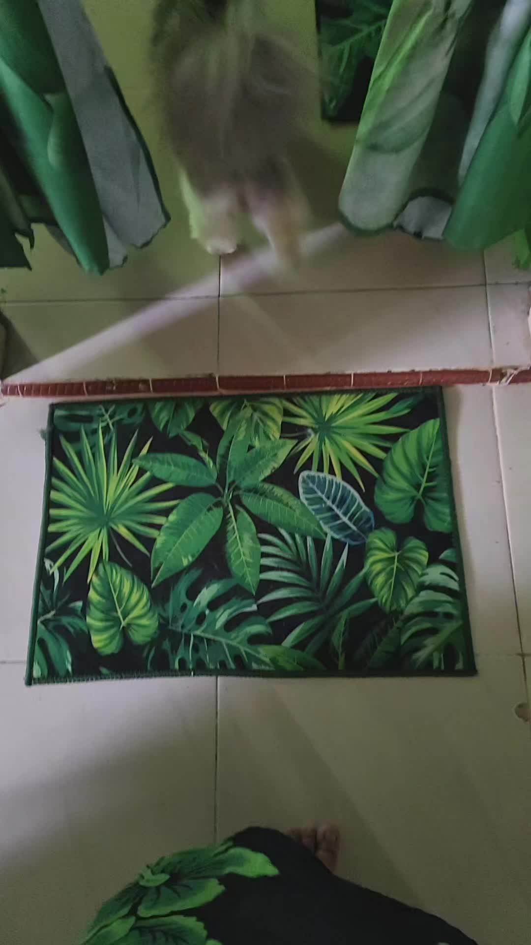 review image 2