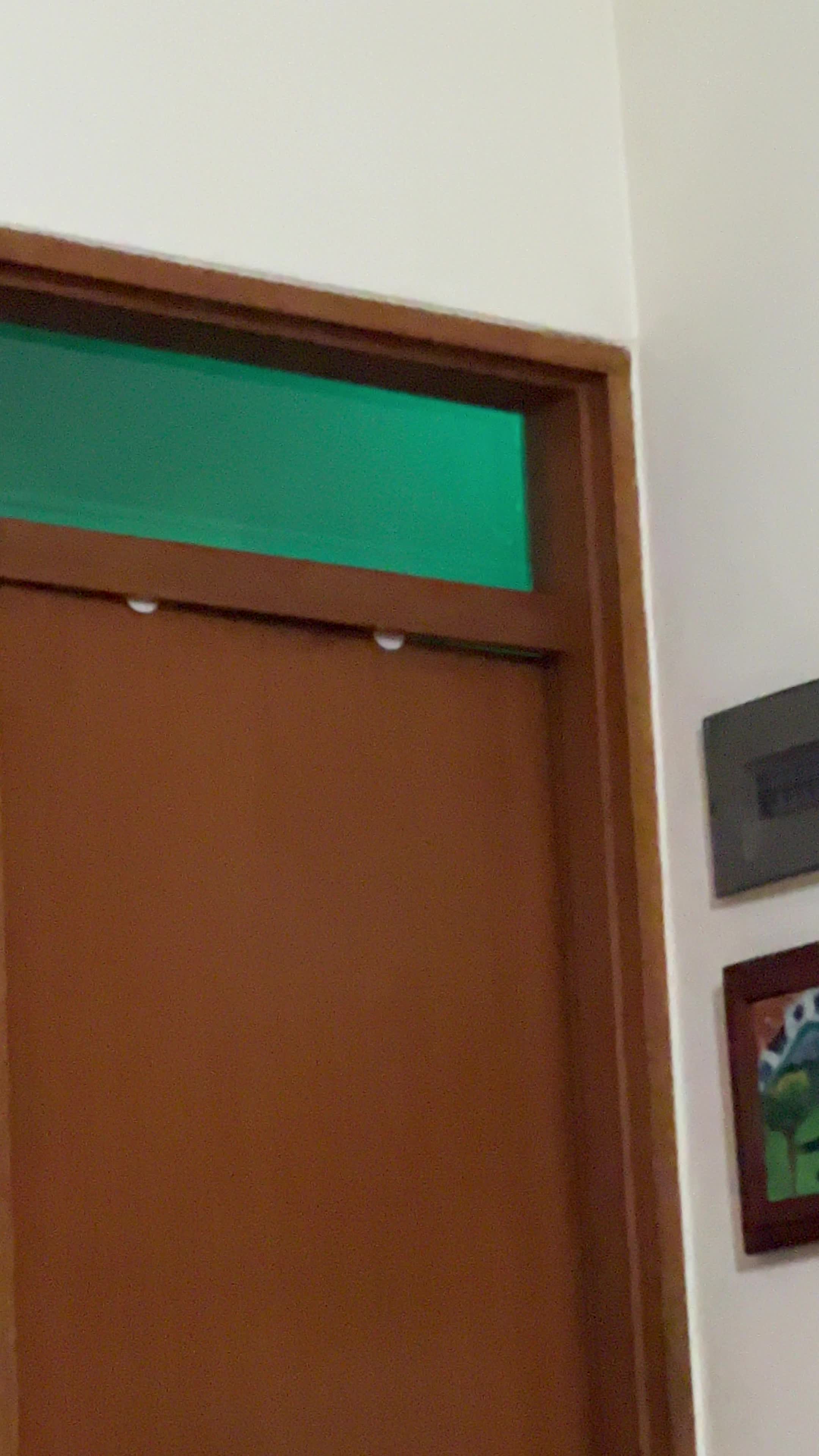 review image 10