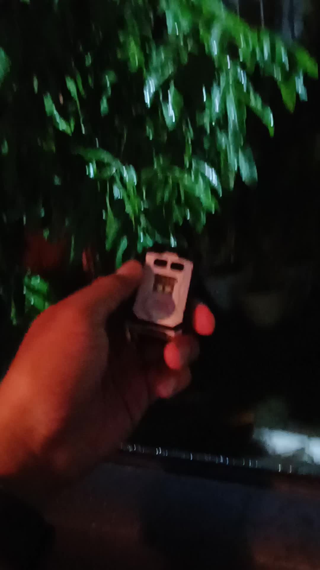 review image 5