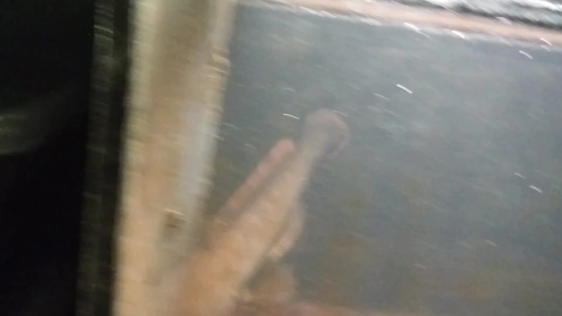 review image 3