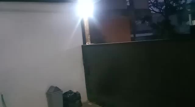 review image 4