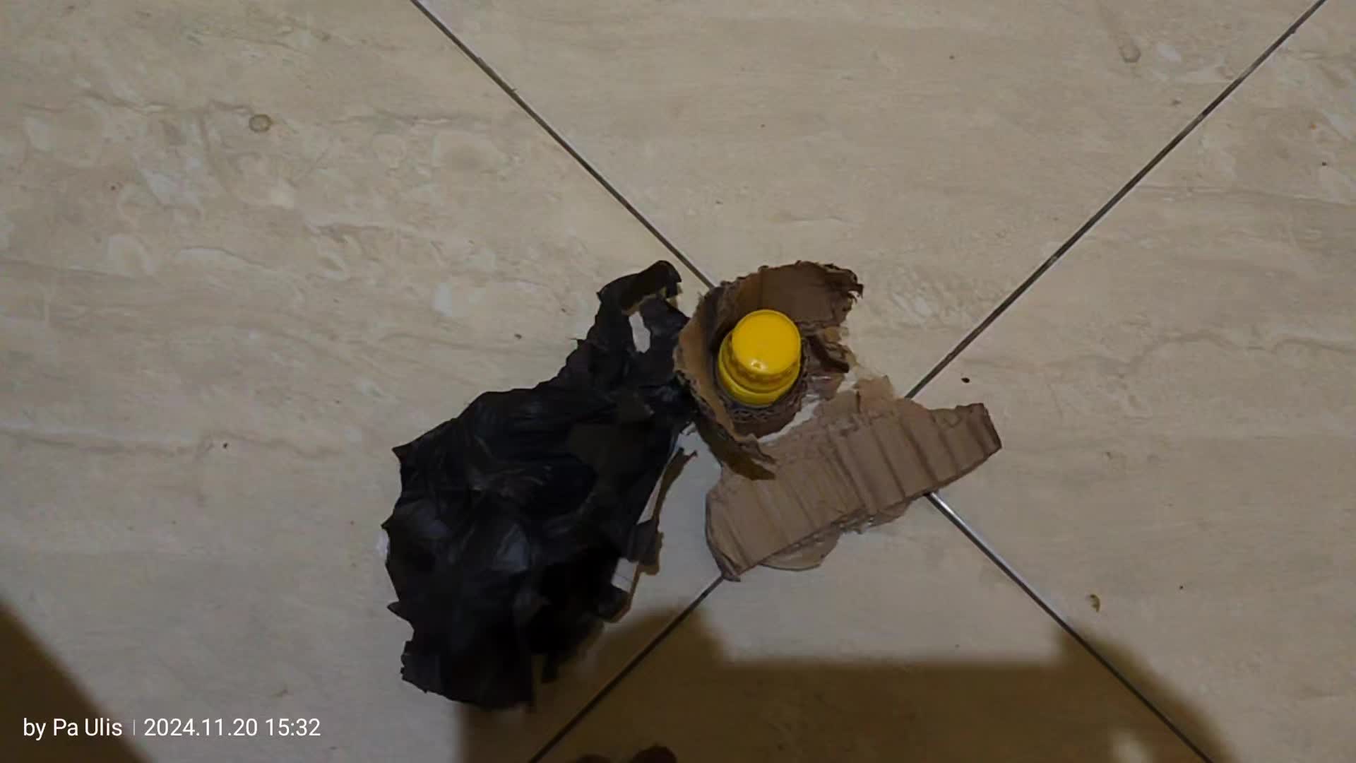 review image 3