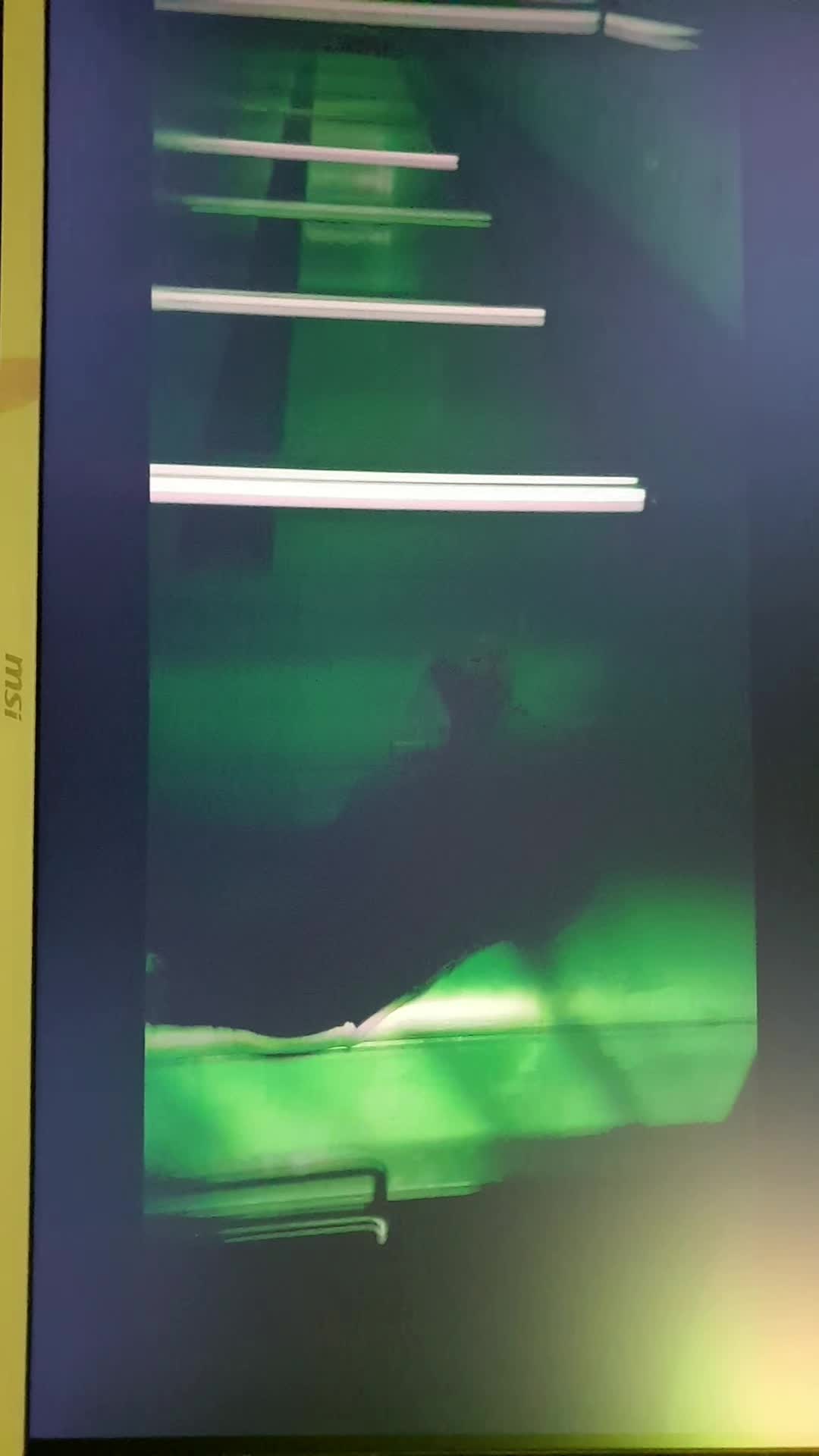 review image 5
