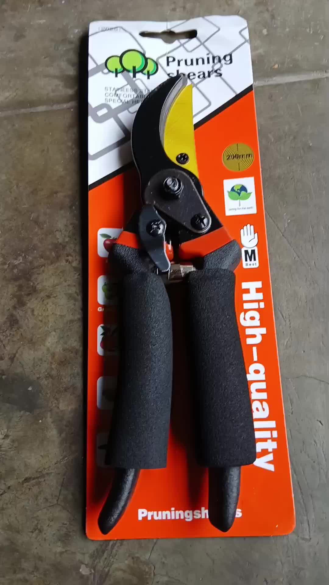 review image 8