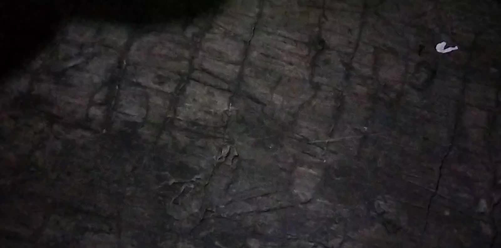 review image 4