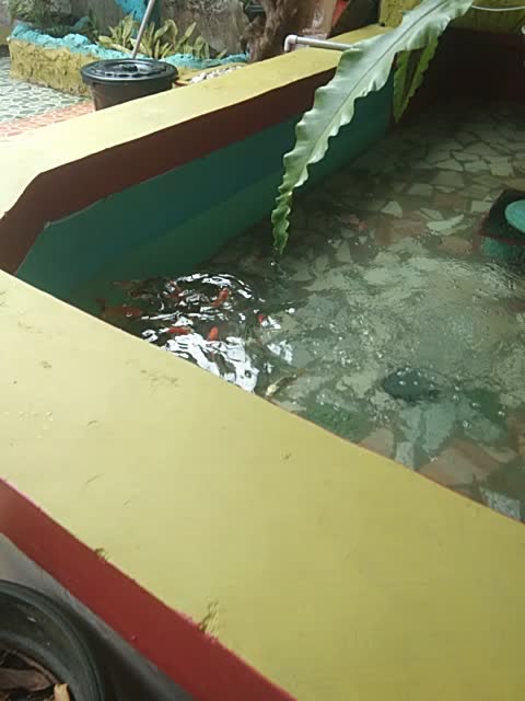 review image 4