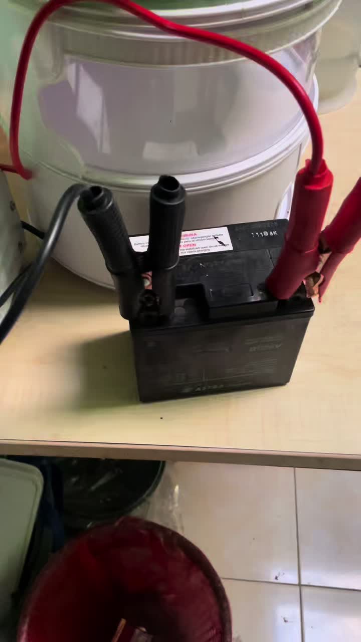 review image 5