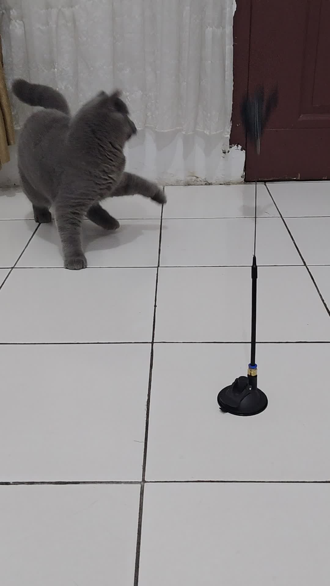 review image 1