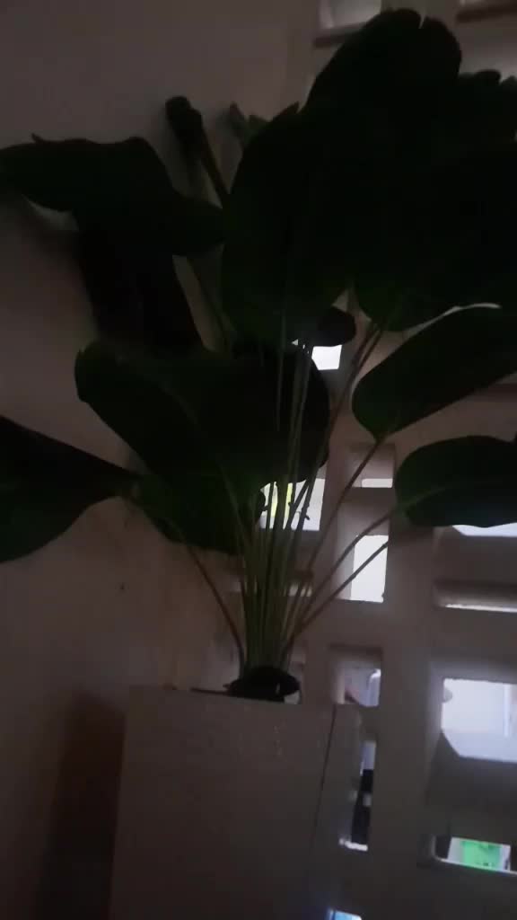review image 6