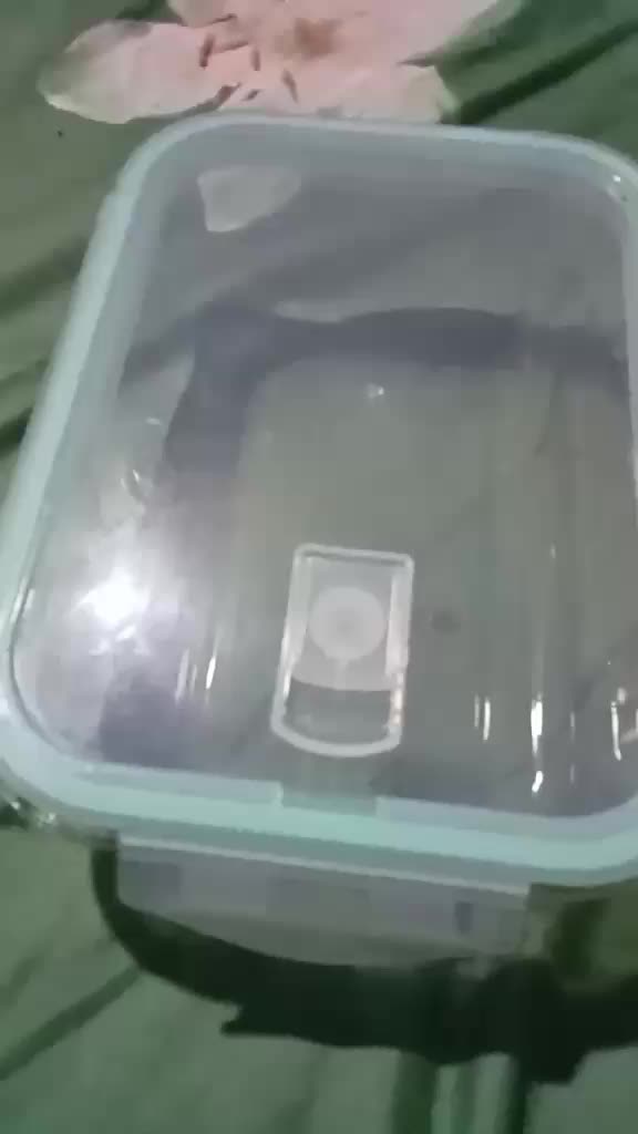 review image 8