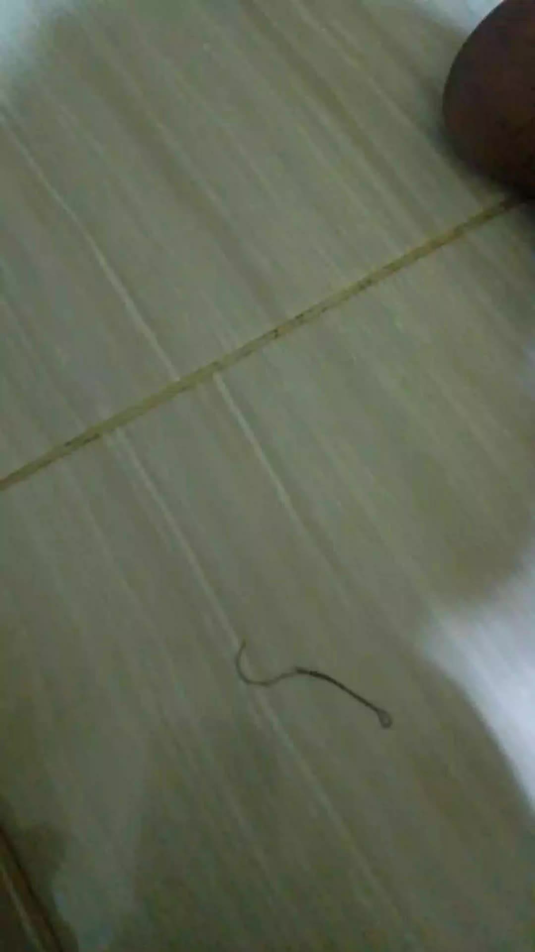 review image 7