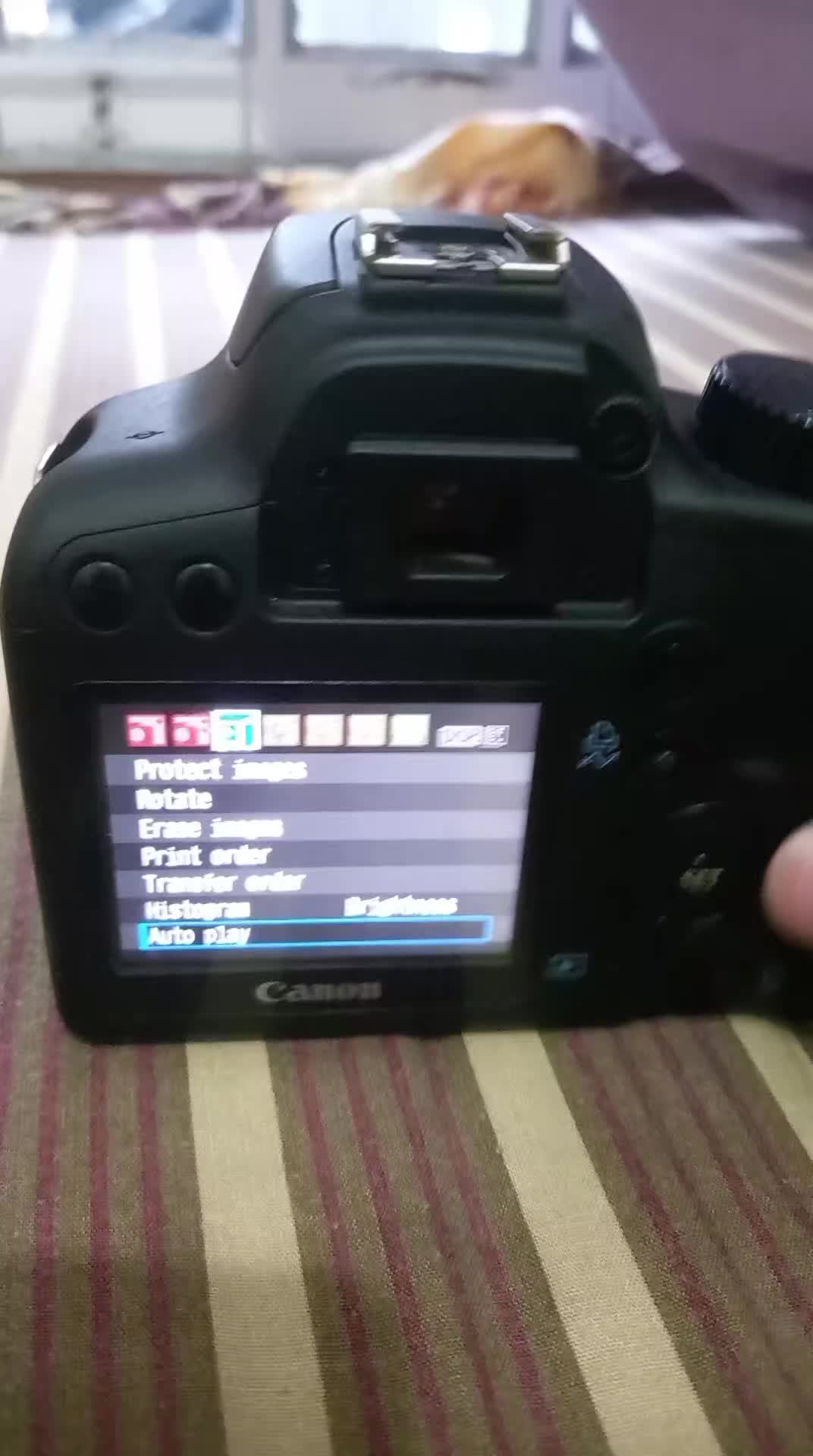 review image 0