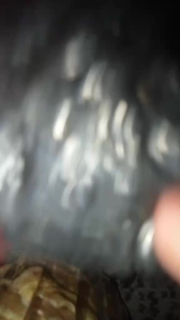 review image 5