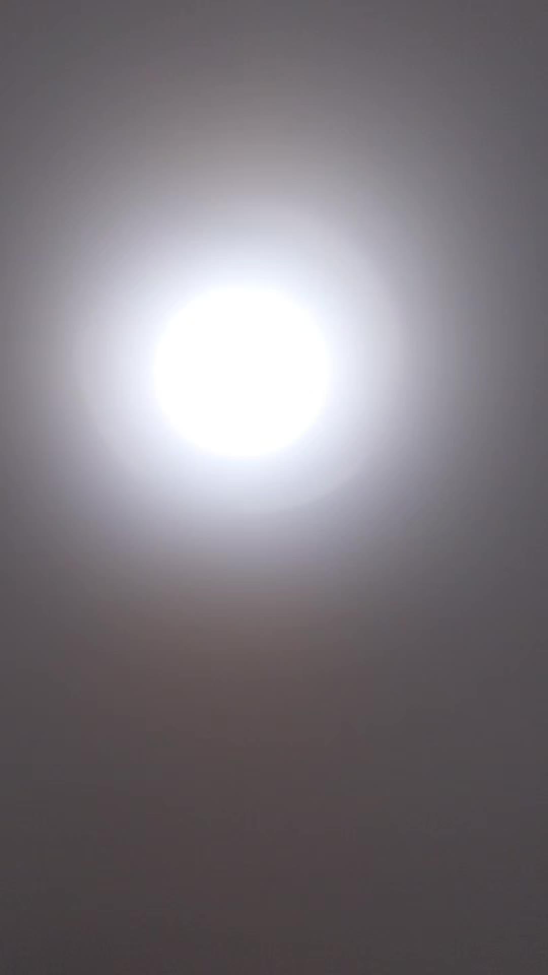 review image 13