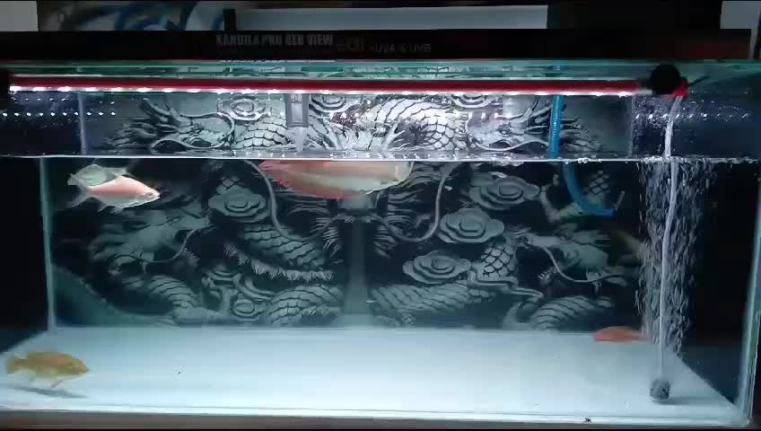 review image 6