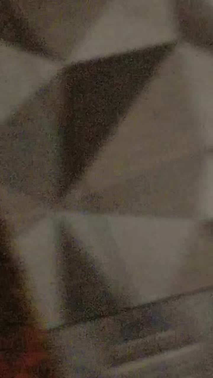 review image 3