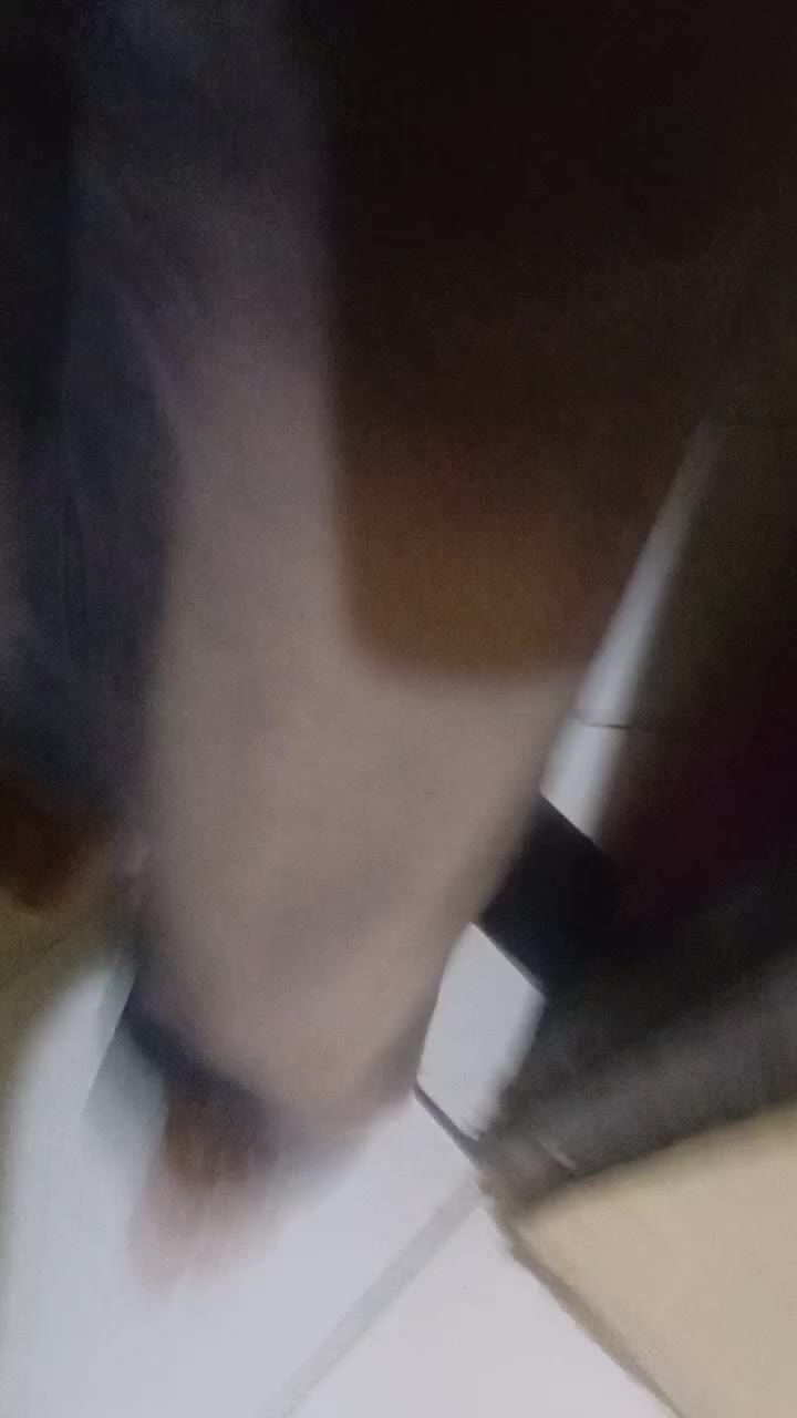 review image 5