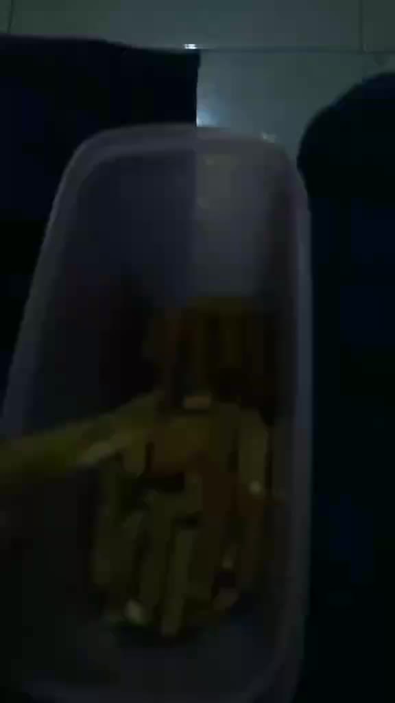 review image 7