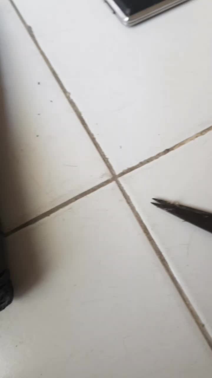 review image 6
