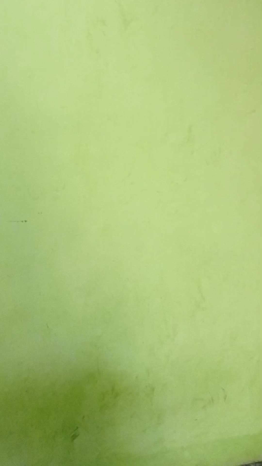 review image 10