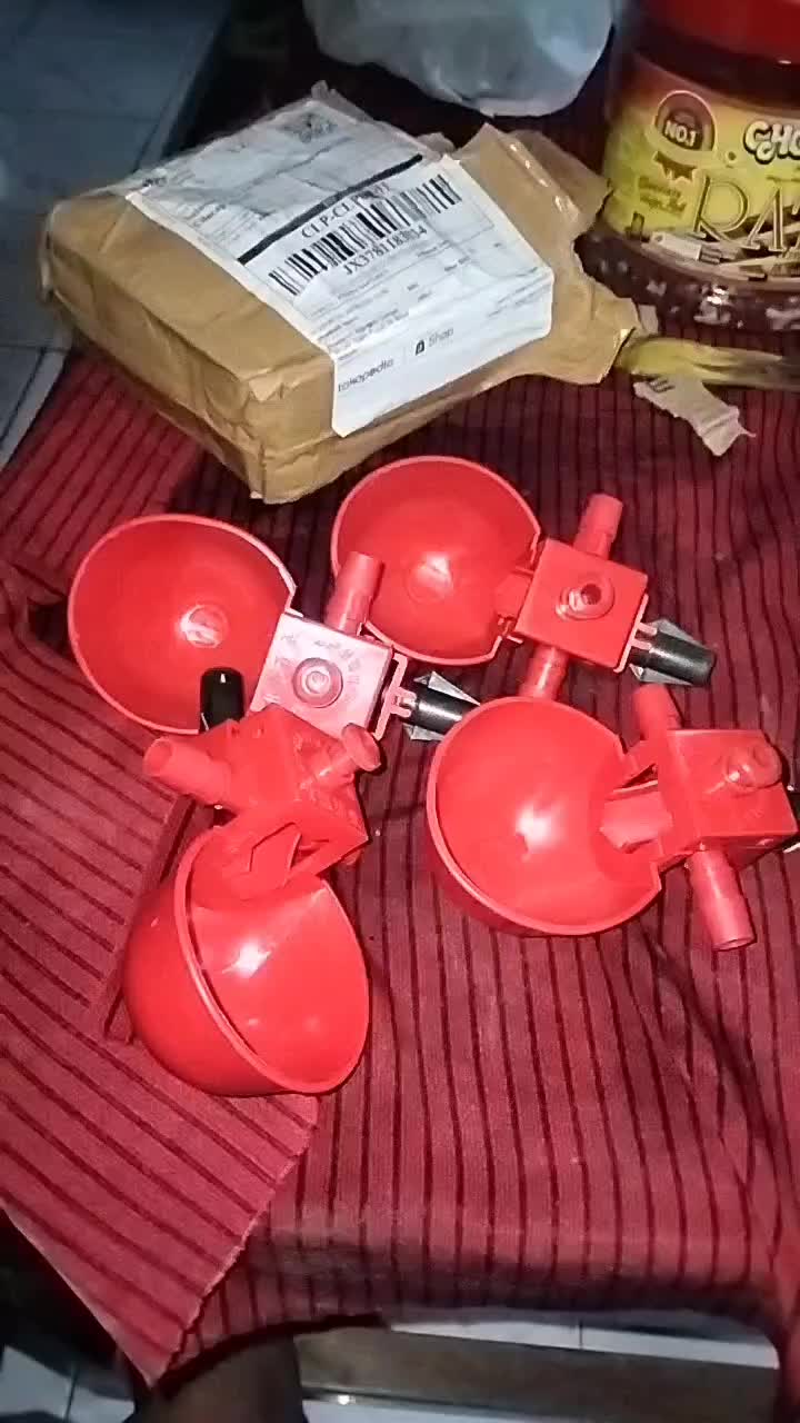 review image 3