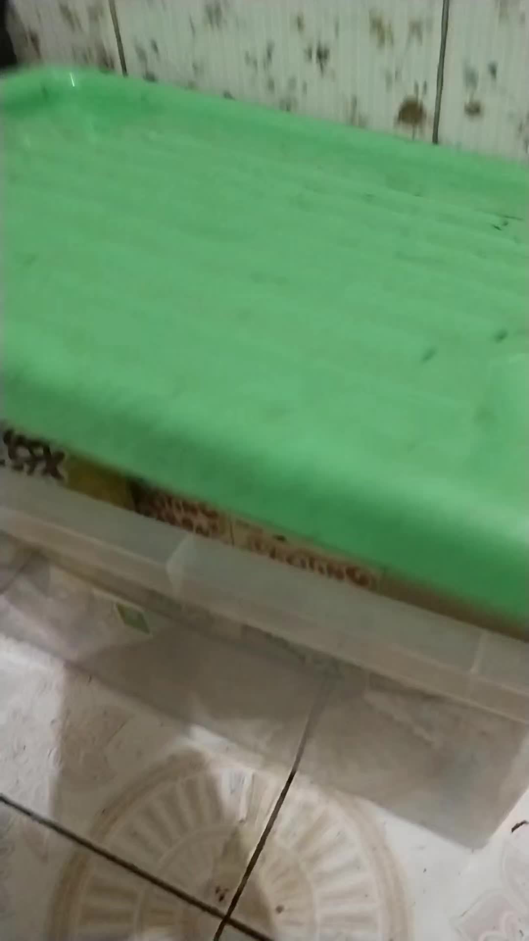 review image 6