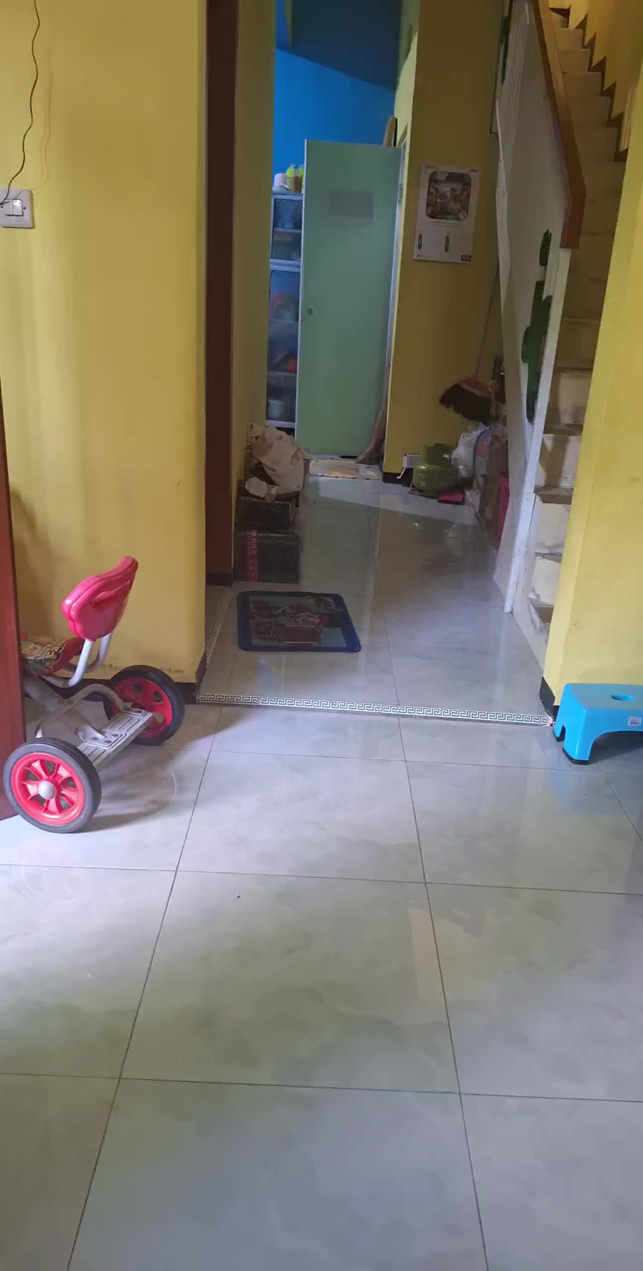 review image 12