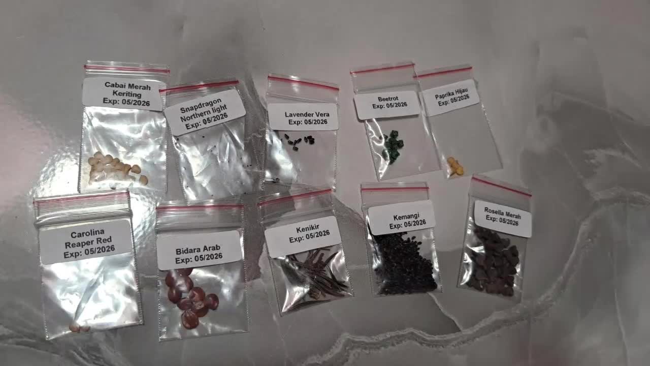 review image 5