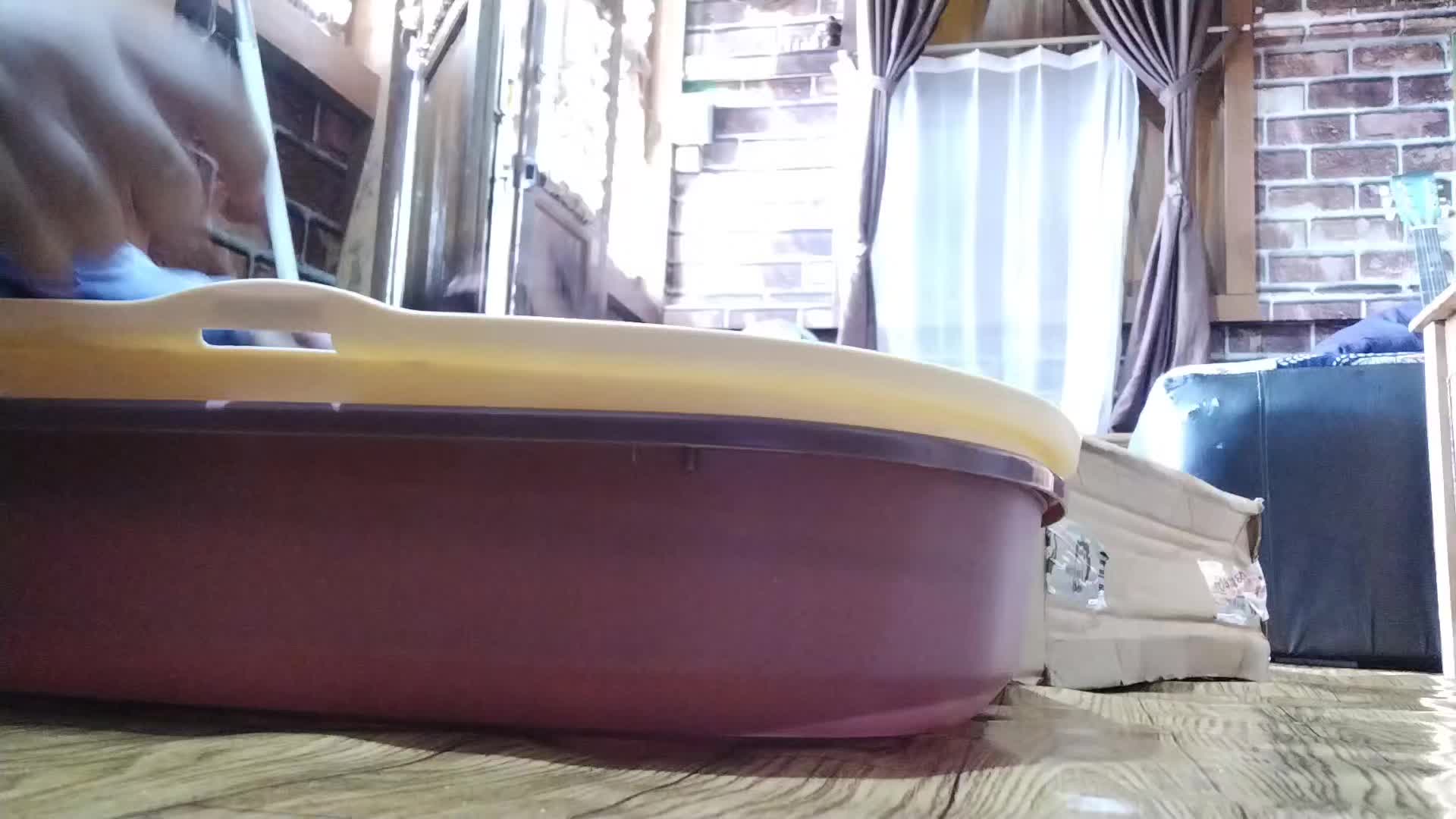 review image 2