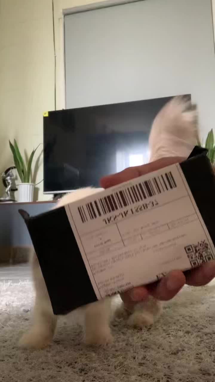 review image 0