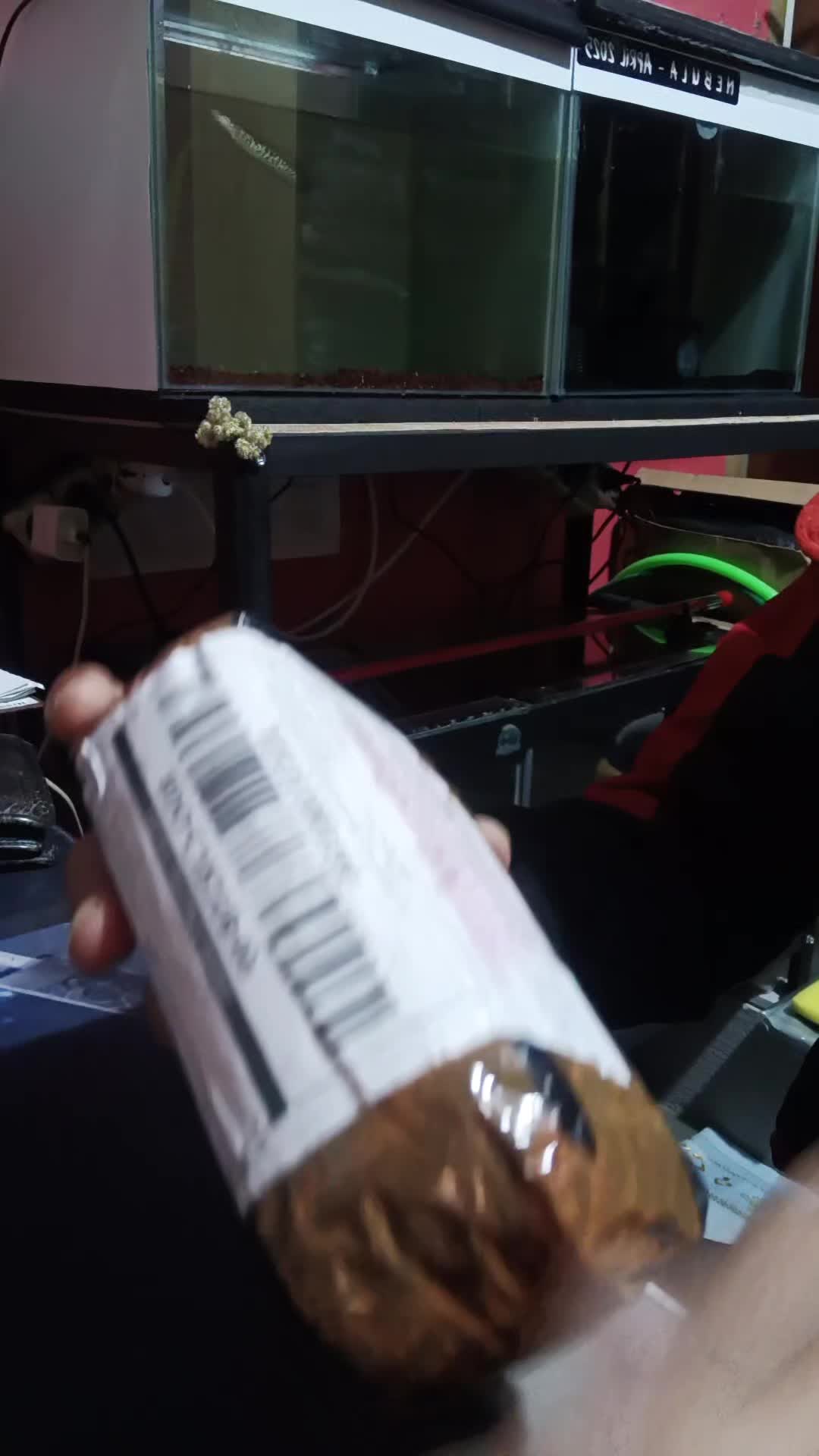 review image 8