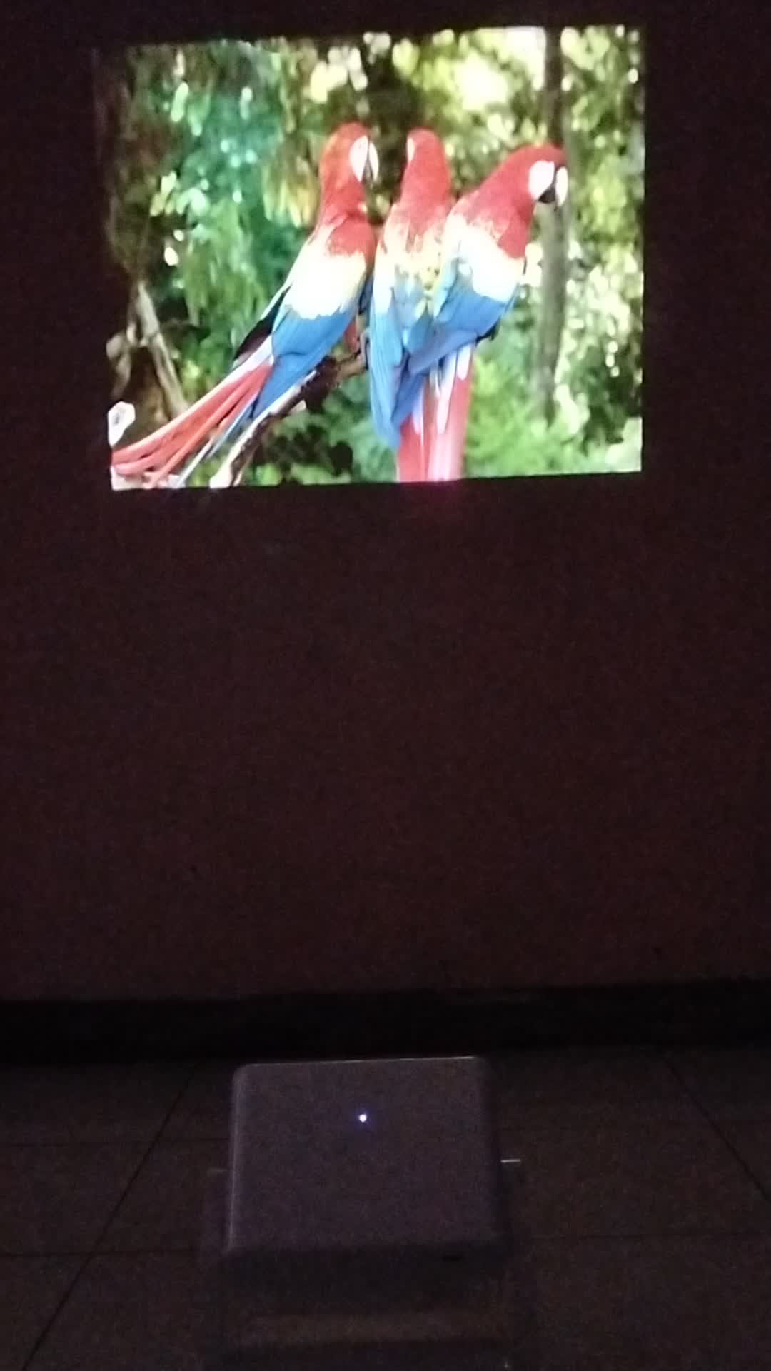 review image 0