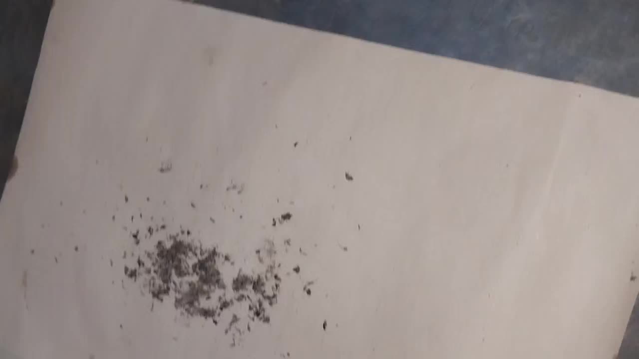 review image 5