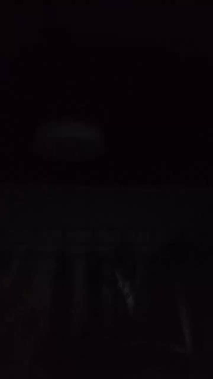 review image 5