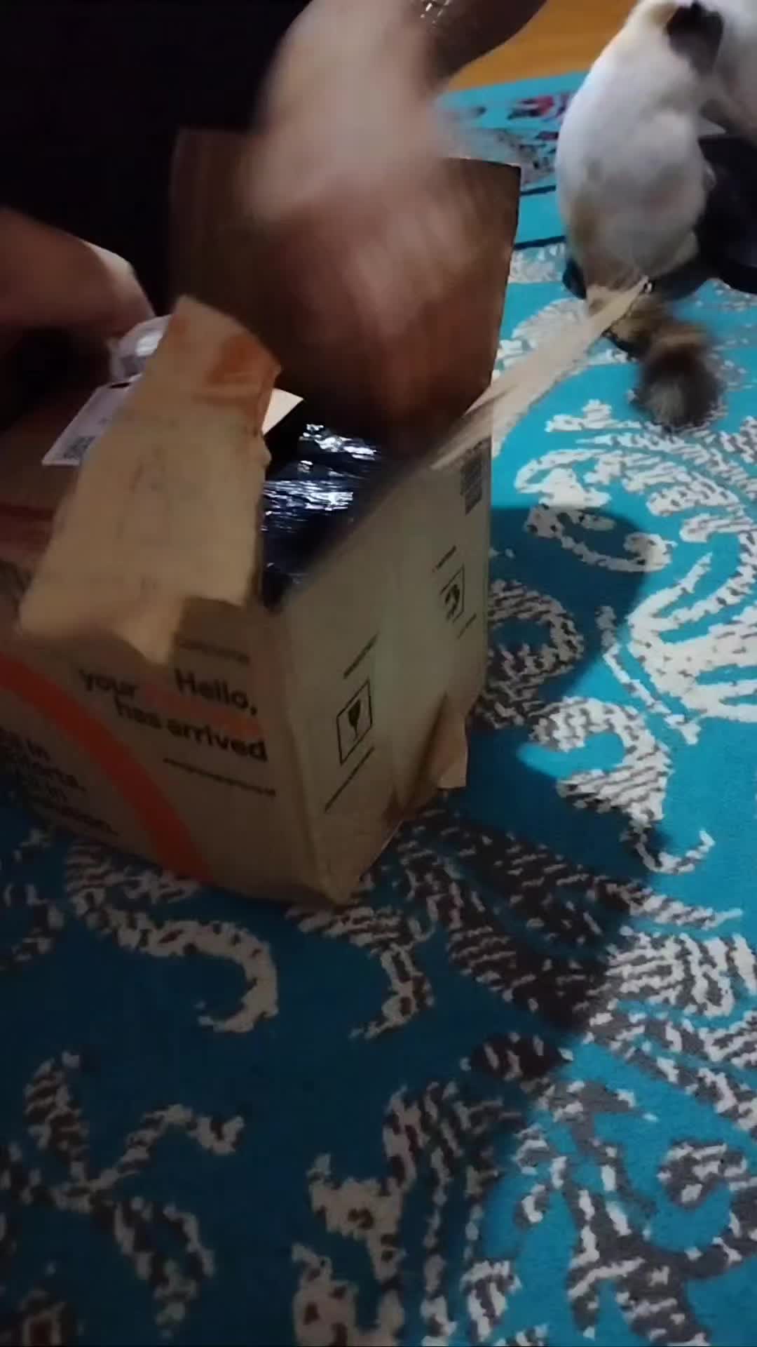 review image 2