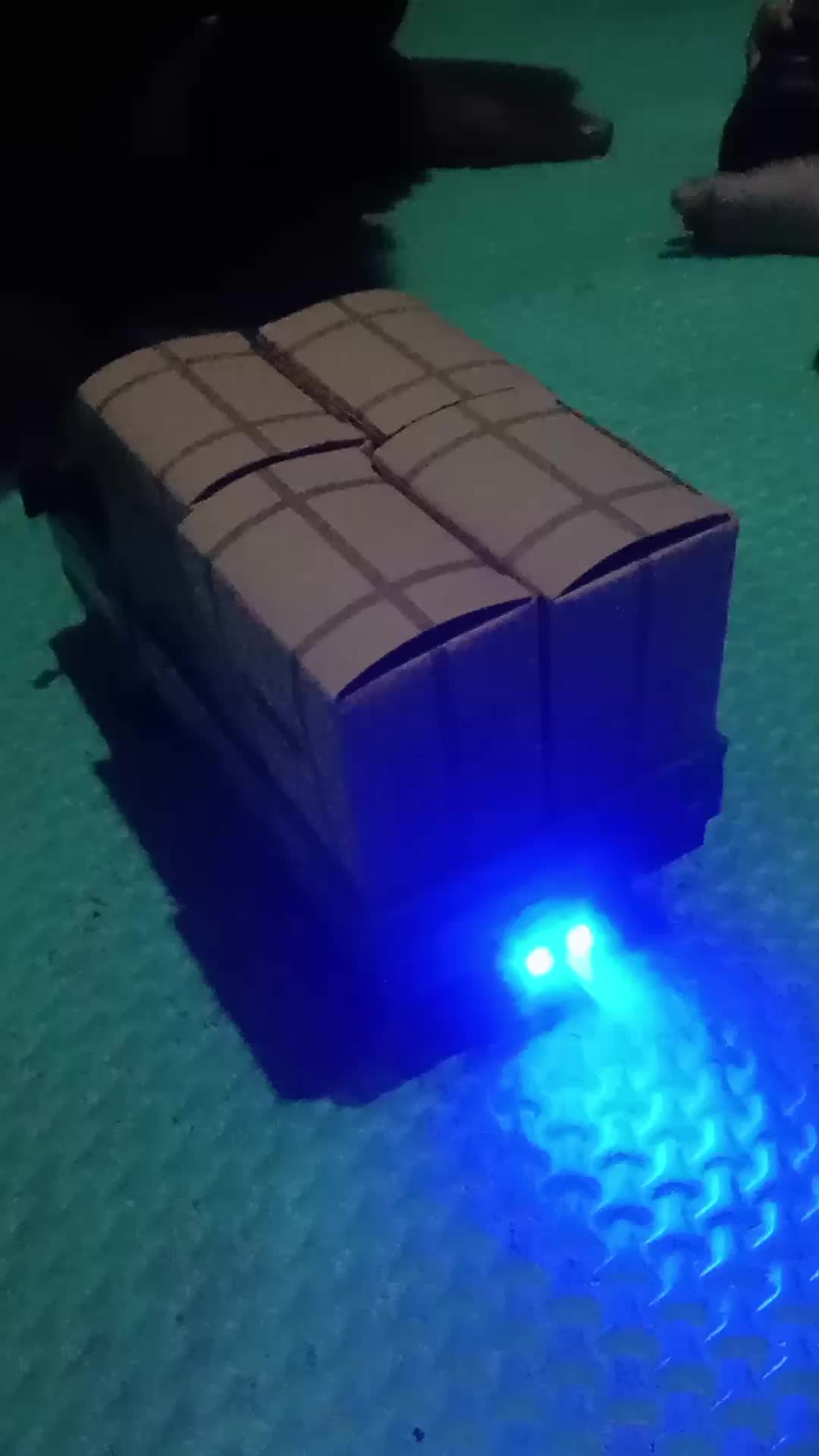 review image 5