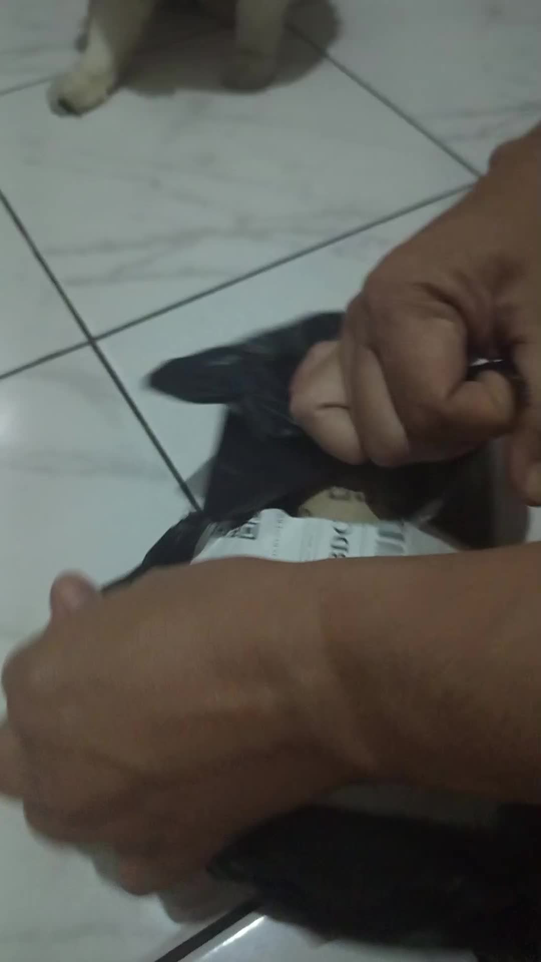review image 0