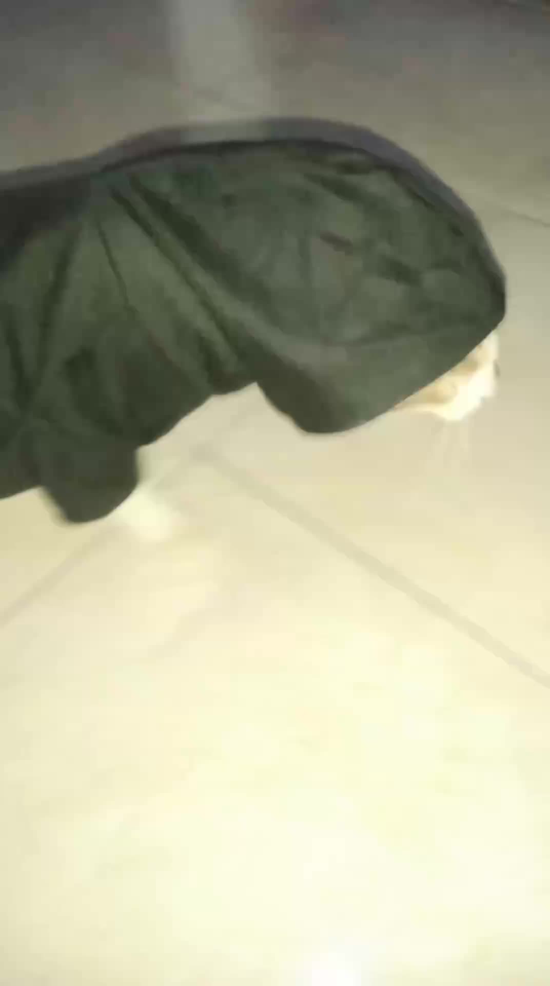 review image 3