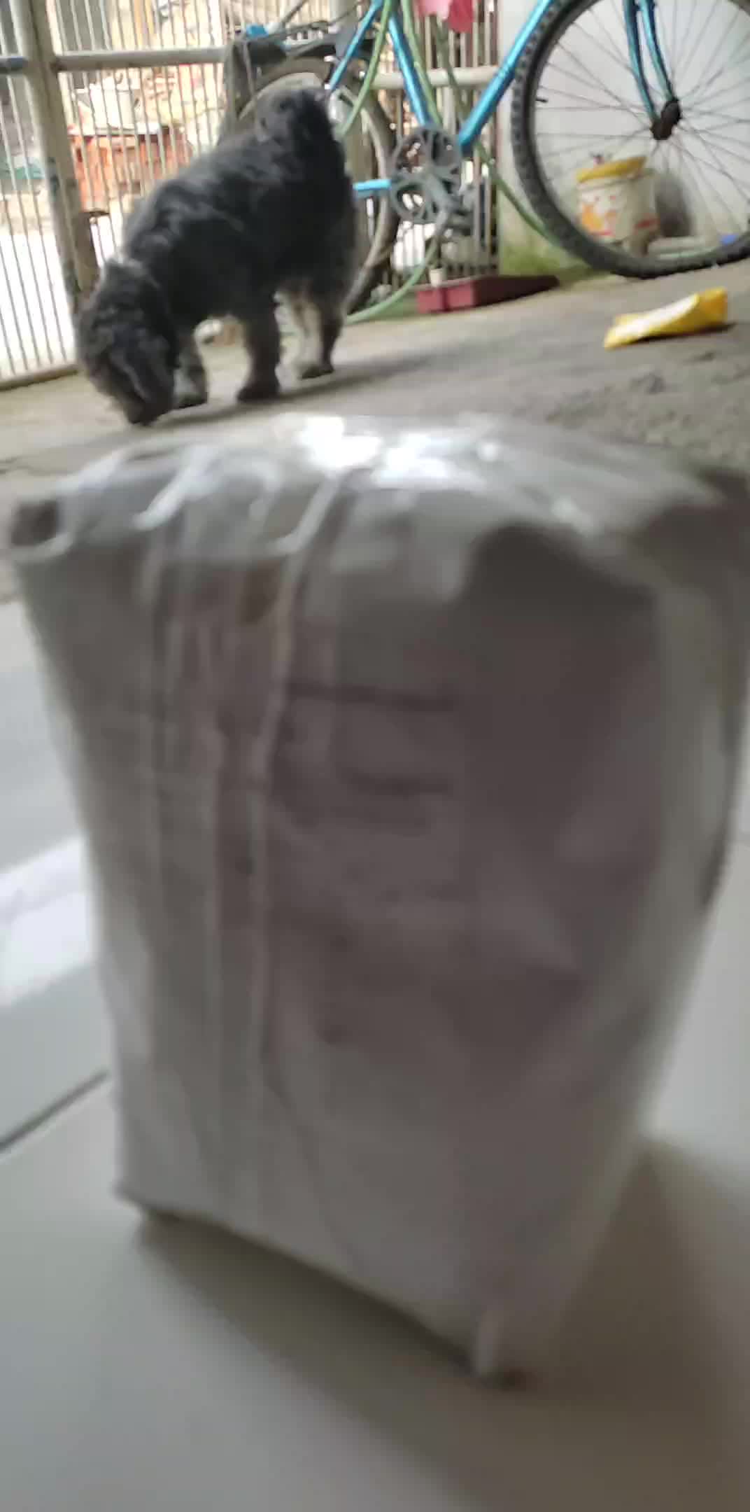 review image 10